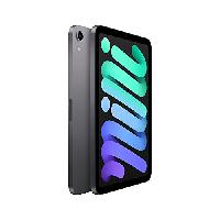 Apple 2021 iPad Mini (Wi-Fi, 64GB) – Space G