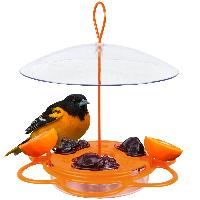 Nature’s Way All-in-One Oriole Buffet Bird F