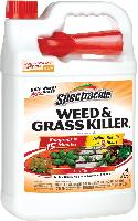 $6: 1-Gallon Spectracide Ready-to-Use Weed & G
