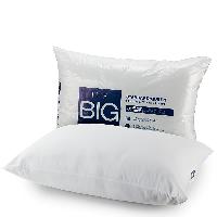 The Big One Microfiber Pillow (Standard/Queen) $2.