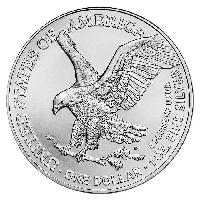 Costco Members: 2024 1 oz American Eagle Silver Co