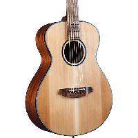 Breedlove Discovery S Red cedar-African Mahogany C