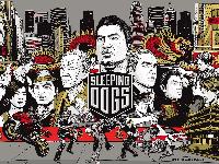 Sleeping Dogs: Definitive Edition (PC Digital Down