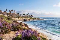 RT Tampa FL to San Diego or Vice Versa $197 Nonsto