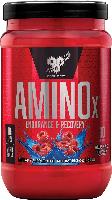 15.3-Oz (30 Servings) BSN Amino X Muscle Recovery 