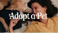 Free $200 Dog Adoption from Pedigree Adoption Driv