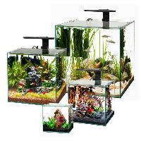 Aqueon Frameless Cube Aquarium 14 Gallon Tank Sale