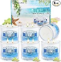 6-Pack 60oz 2 Wick Citronella Outdoor Candles $13.