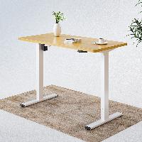 FlexiSpot Essential Standing Desk E2 Frame w/ USB 